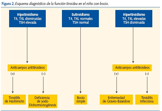 Figura 2. Esquema diagnóstico de la función tiroidea en el niño con bocio.